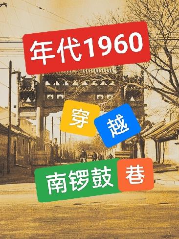 年代1960穿越南锣鼓巷小说520