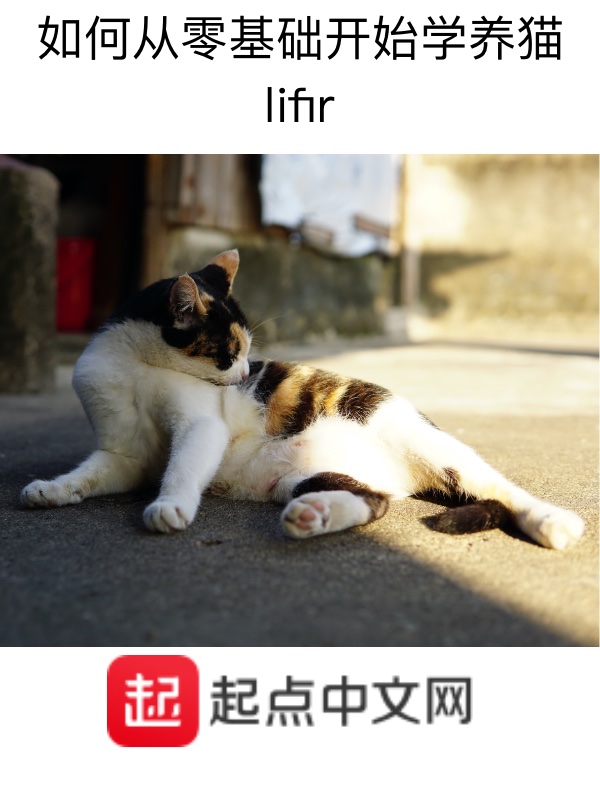 新手养猫小技巧